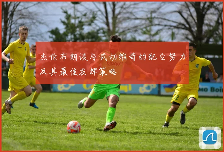 杰伦布朗谈与武切维奇的配合努力及其最佳发挥策略